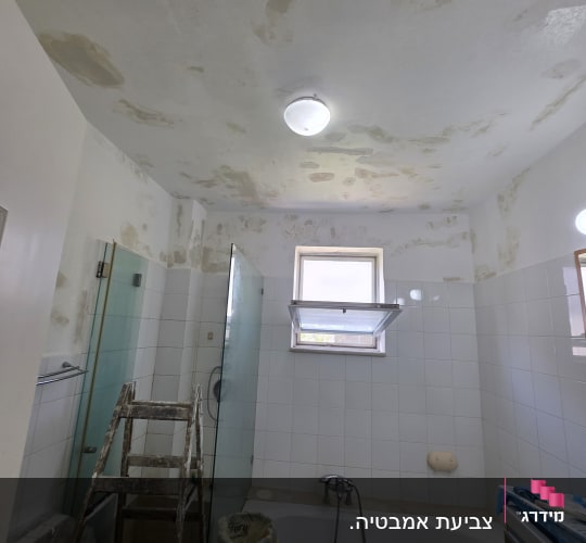 חדר אמבטיה עם תקרה מתקלפת וסולם